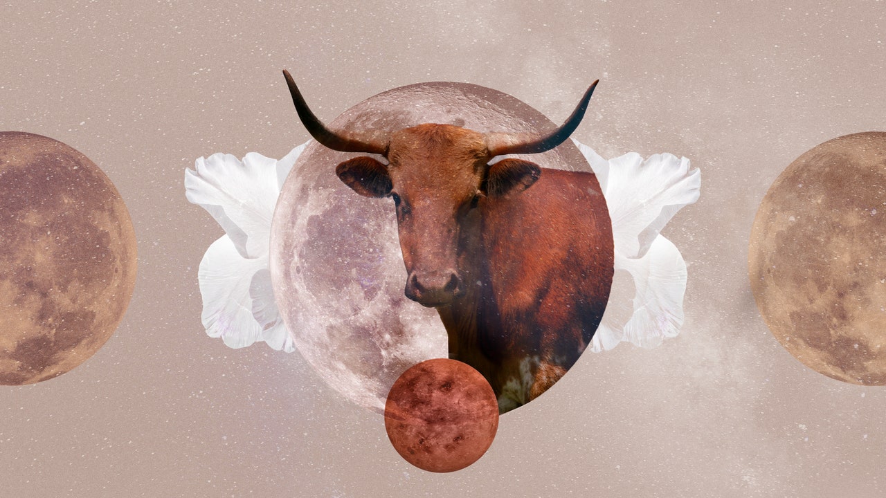 Your Taurus 2024 Yearly Horoscope Predictions Are Here Bsnews In   Taurus Horoscope 2023 