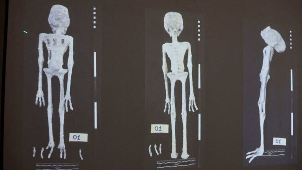 Scientists assert 'alien mummies' in Peru are really dolls made from earthly bones