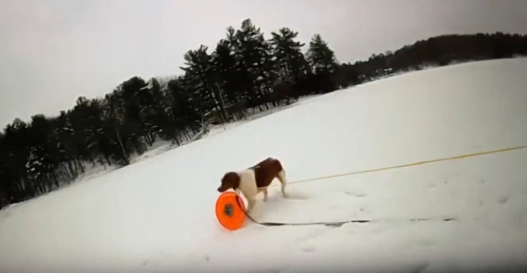Michigan man saved from icy lake as officer uses man’s dog to deliver rescue gear